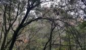 Randonnée Marche Bagnols-en-Forêt - Blavet - Photo 8