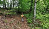 Randonnée Marche Florenville - fontenoille  - Photo 8