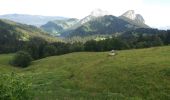 Tour Wandern Bellecombe-en-Bauges - BAUGES: CRET DU CHAR... avec montée par le Golet de Doucy - Photo 7