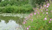 Randonnée A pied Clairmarais - Wikiloc Clairmarais: Etangs de Rommelaere (PVDB) - Photo 1