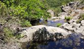 Randonnée Marche Collobrières - Cuves de Boulin - Photo 5