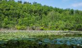 Tocht Te voet Mittenwalde - Wanderweg Sutschketal - Ostseite Krummer See - Photo 10