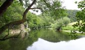 Tocht Stappen Bouillon - Corbion - Bouillon 1 - Photo 1