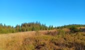 Trail Walking Eupen - nahtsief court - Photo 12