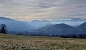 Tour Wandern Saint-Martin-d'Uriage - Uriage - Chavanais - Pinet - Venon - Sonnant - Photo 12