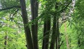 Trail Walking Seraing - bois de la vequée par les petits chemins (version courte) - Photo 13