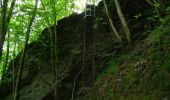 Randonnée Marche Bouillon - De Rochehaut vers Poupehan  - Photo 6