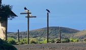 Tour Wandern Frontera - Sabinosa - El Sabinar - Ermita Virgen de Los Reyes (El Hierro) - Photo 12