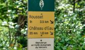 Tour Wandern Saint-Agnan-en-Vercors - Les Rancs de Charles - Vercors - La Coche - Photo 18