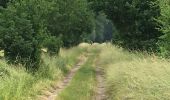 Tour Wandern Belœil - Les amis de la nature d’Ath - Photo 8