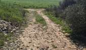 Tour Quad Villeneuve-de-la-Raho - Randonnée 2h (Bages) Niv 3 - Photo 11