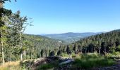 Tocht Stappen Le Brugeron - col de Béal - Photo 6