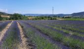 Trail Walking Valvignères - Boucle des caveaux 7km - Photo 1