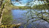 Tour Wandern Gedinne - Willerzie 190425 - Photo 4