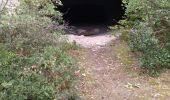 Randonnée Marche Bollène - 84 mines et grottes de st blaise bollene - Photo 15