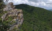 Tour Wandern Deluz - Deluz, chapelle d'Aigremont - croix de Souvance - Photo 9