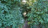 Trail Walking Reugny - Reugny - Vignes et Brenne - Photo 14