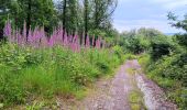Trail Walking Aywaille - Le tour de septroux - Photo 1