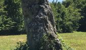 Tour Wandern Sion-les-Mines - 09.07.2019 - de SION les MINES à ST AUBIN DES CHÂTEAUX  - Photo 3