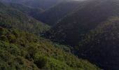 Tocht Trail Caunes-Minervois - caunes carrière 11kms - Photo 1