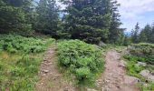 Trail Walking Laval-en-Belledonne - LES LACS DU VENETIER - Photo 4