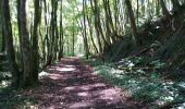 Tocht Stappen Sentheim - Marcher au marché 2  - Photo 15