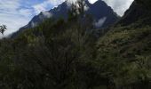 Trail Walking La Possession - Marla Cilaos - Photo 1