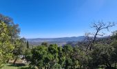 Tour Wandern La Garde-Freinet - La garde freinet - Notre Dame de Miremer - Photo 2