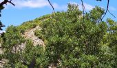 Tour Wandern Caudiès-de-Fenouillèdes - Gorges de St Jaume à Caudiès de Fenouillèdes  -Pyrénées Orientales - Photo 7