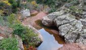 Trail Walking Saint-Raphaël - Pk Grenouillet - Col Belle Barbe - Col Aubert - Ravin Mal Infernet - Photo 9