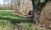 Trail Walking Bussière-Galant - Le sentiers des Demoiselles - Photo 7