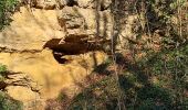 Excursión Senderismo Villey-le-Sec - Villey le sec - Les grottes - Le fort - Photo 19