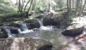 Randonnée Marche Gedinne - Vallée de la Hulle - 16 km - Photo 5