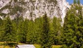 Percorso A piedi Kranjska Gora - stara vršiška cesta - Photo 10