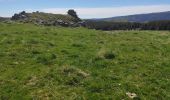 Tocht Stappen Laveissière - La veissiere Puy de seycheuse - Photo 6