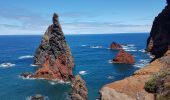 Trail Walking Caniçal - Madère : la presqu'île de Sao Lourenço - Photo 8