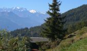 Tocht Noords wandelen Arbaz - Anzère  - Photo 1