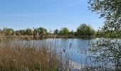 Tour Wandern Rosnay - Parc naturel régional de la Brenne à ROSNAY - Photo 3