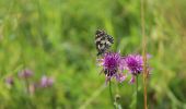 Excursión A pie okres Ilava - Náučný chodník 