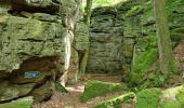 Tour Wandern Berdorf - Mullerthal Berdorf B5+B8 Raiberhiel-Teufelsinsel-Siewenschleff-Berdorfer Kasselt-Keltenkapp-Passage Mandrack-Geierslay-Perekop-Huel Lee (PVDB) - Photo 9