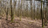 Trail On foot Neu-Anspach - Rund um den Langhals - Photo 1