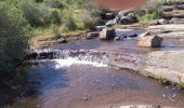 Trail Walking Le Cannet-des-Maures - Les escarcets - Photo 3