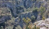Randonnée Marche Oppedette - Gorges d'Oppedette - Photo 9