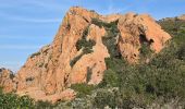 Trail Walking Saint-Raphaël - Pic du cap roux - Photo 13