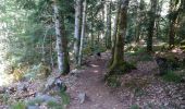 Trail Walking Saint-Genès-Champespe - lac de cregut - Photo 3