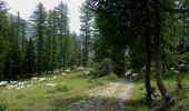 Trail On foot Tende - Circuit de Fontanalbe - Photo 9