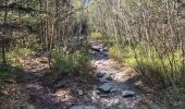 Trail Walking Waimes - Peak brune - Photo 14