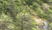 Trail Walking Saint-Pierre-des-Tripiers - 21 06 07 Les corniches de la Jonte et du Tarn - Photo 12