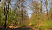 Tour Wandern Longpont - en forêt de Retz_77_Longpont_Puiseux en Retz_AR - Photo 3