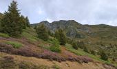 Excursión Senderismo Theys - BALADE DIGESTIVE APRES UNE FONDUE - Photo 12